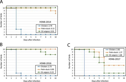 Figure 1. Survival of 6-week-old SPF chickens (blue), Pekin ducks (orange) and Eurasian (EA) wigeons (green) after intratracheal/intranasal infection (doses 105.3 EID50/bird) with (A) H5N8-2014, (B) H5N8-2016, and (C) H5N6-2017 viruses. Per group 10 birds were monitored for 10 days for clinical symptoms and mortality. The pathogenicity score was calculated based on OIE criteria for IVPI, and ranges from 0.0 (no pathogenicity) to 3.0 (highest pathogenicity). The pathogenicity scores for the viruses are listed in the legend.