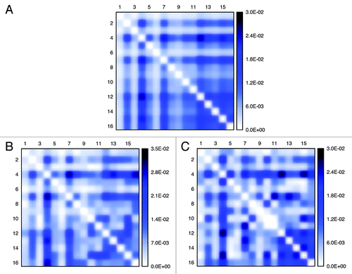 Figure 7. Inter-chromosomal interaction patterns identified from the experiment and models. Patterns (A) is extracted from the experiment, (B) from the “Gene Proximity Model” and (C) from the “Null Model”. Pairwise interaction frequencies between two chromosomes are proportional to the color density. (B) and (C) respectively represent one possible inter-chromosomal interaction patterns for two different models.