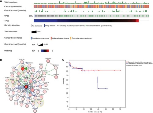 Figure 2 (A) The mutation, cancer type, overall survival, and heatmap in TP53. (B) The frequently altered neighbor genes of TP53. (C) The overall survival of TP53 alteration compared with nonalteration.Abbreviation: N/A, not applicable.