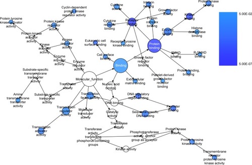 Figure 10 The BINGO analysis network: MF.