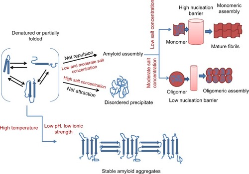 Figure 2 Effect of salt, pH, and temperature on protein aggregation.Note: Low and moderate salt concentrations cause amyloid assembly, while a high salt concentration is responsible for disordered precipitates.