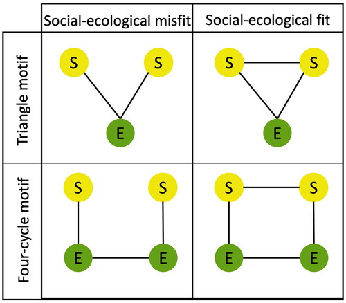 Figure 1. Illustration of triangle and four-cycle network motifs characterizing fit.