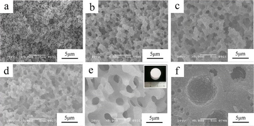 Figure 2. Scanning electron micrographs of the dried AlPO4 gels prepared with varied polyethylene oxide contents. (a) wPEO-8.90 mg; (b) wPEO-10.20 mg; (c) wPEO-10.55 mg; (d) wPEO-10.75 mg; (e) wPEO-11.00 mg; (f) wPEO-11.20 mg.