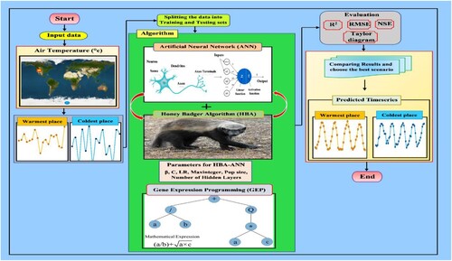 Figure 2. Flowchart of the HBA-ANN model.