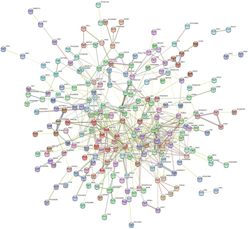 Figure 6. PPI networks of the up-regulated salt-responsive genes in Arabidopsis root.