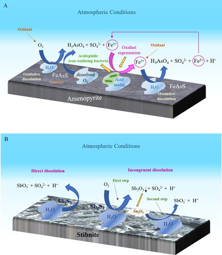 Figure 1. Scheme of the oxidative dissolution of arsenopyrite (A) and stibnite (B).