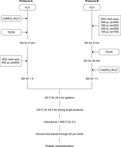 Figure 1 Flowchart of protocols for sol-gel-derived calcium silicate cements (CSCs).Note: The sol-gel synthetic processes of various CSCs with different reactant mixing orders and nitric acid catalyst concentrations.Abbreviation: TEOS, tetraethyl orthosilicate.