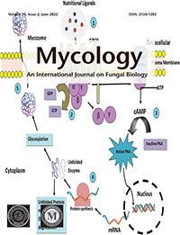 Cover image for Mycology, Volume 13, Issue 2, 2022