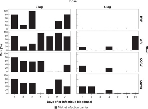 Figure 12 Midgut infection barrier (MIB) rates. Ingestion of 5-log of virus is associated with a significant decrease (P < 0.05) in the percentage of individuals displaying a MIB in all strains. In the HVP strain, MIB was completely overwhelmed in the 5-log group.