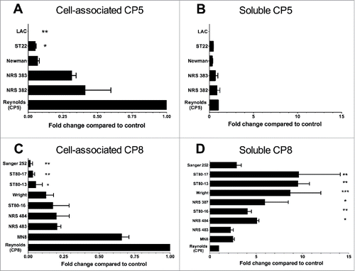 Figure 7. Quantitation of cell-associated and soluble CP5 or CP8 produced by clinical isolates of S. aureus cultivated in RMPI + 1% casamino acids. CP levels were measured by an ELISA inhibition method, and CP5 and CP8 concentrations are expressed relative to those of Reynolds (CP5) and Reynolds (CP8), respectively, which were included as reference strains on every assay. CP levels were compared by one-way ANOVA, and multiple comparisons were made to the reference strains Reynolds (CP5) and Reynolds (CP8). ***, P < 0.001; **, P < 0.01; *, P < 0.05.