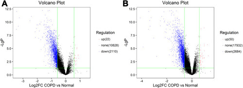 Figure 1 CircRNA and mRNA expression profile in COPD patients. Volcano plots were used to distinguish differentially expressed circRNAs (A) and mRNAs (B). Red and blue indicate up-regulation and down-regulation, respectively.