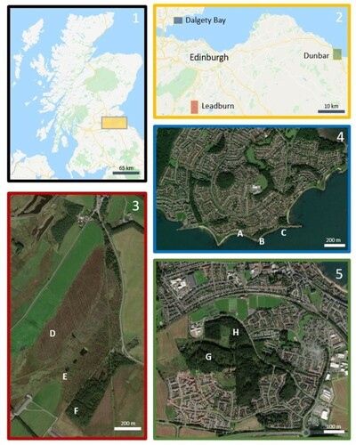 Figure 1. 1. Study region. 2. Case study locations in vicinity of Edinburgh. 3. Leadburn Community Woodland: D. Peat bog restoration. E. Reforesting native woodland. F. Recently purchased conifer block. 4. Dalgety Bay Community Woodlands: A. Crow Wood. B. Hopeward Wood. C. Bathing House Wood. 5. Lochend Woods: G. and H. Areas not managed by Dunbar CWG. Adapted from (Google, Citation2020).