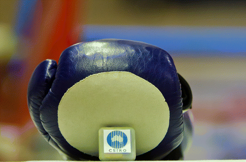 Figure 3 Two-layered knit conductive patch attached to surface of boxing glove (also shown is the transceiver used to record signals from vest sensor electrodes and transmit them via Bluetooth to a ringside computer). (Photograph and © by Kris Arnold of Kris Arnold Photography, 2012, reproduced with kind permission.)