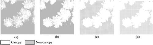 Figure 12. Canopy covers derived from different pixel sizes. (a) 0.07 m, (b) 0.13 m, (c) 0.21 m, and (d) 0.25 m.