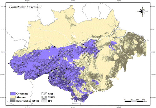 Figure 91. Occurrence area and records of Gonatodes hasemani in the Brazilian Amazonia, showing the overlap with protected and deforested areas.