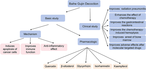 Figure 4 The summary of Baihe Gujin decoction in both preclinical and clinical studies. The pharmacological mechanisms of Baihe Gujin decoction for treating lung cancers included induction of cancer cell apoptosis, improvement of immune function, and anti-inflammatory effect. Quercetin, β-sitosterol, glycyrrhizin, isorhamnetin, and kaempferol were thought to be key pharmacological components. Regarding clinical studies, the main findings of Baihe Gujin decoction potency in treatment of lung cancers were composed of improvement of radiation pneumonitis, GI reactions, chemotherapy-induced hemoptysis, and AE after molecular targeted drugs and enhancement of chemotherapy effect.