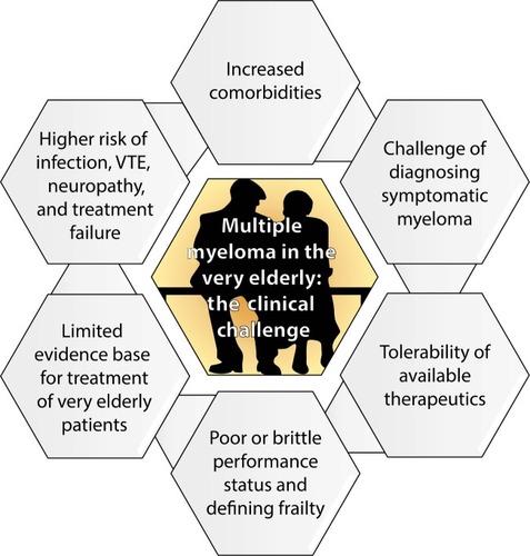 Figure 1 The challenges of diagnosis and treating the very elderly patient with multiple myeloma.