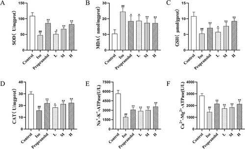 Figure 9 Effect of CRC-CDs on myocardial antioxidant activity (A-D) and Na+-K+-ATPase and Ca2+-Mg2+-ATPase (E-F) activities in various groups of rats. (A) SOD levels in tissues. (B) MDA levels in tissues. (C) GSH levels in tissues. (D) CAT levels in tissues. (E) Na+-K+-ATPase activity in tissues. (F) Ca2+-Mg2+-ATPase activity in tissues. Date are represented as means ± SD (n = 8). ##P<0.01 compared with the control group, **P < 0.01 and *P < 0.05 compared with the Iso group.