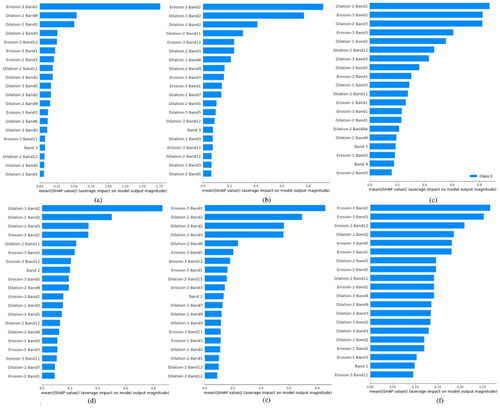 Figure 11. The feature importance results by XAI for Beheshti port, (a) DT, (b) RF, (c) DNN, (d) XGBOOST, (e) LightGBM, and (f) CatBoost.