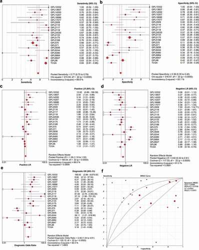 Figure 3. The diagnostic accuracy of TRPS1 in gastric cancer. The pooled sensitivity, specificity, positive LR, negative LR, diagnostic odds ratio, and the SROC of TRPS1 were 77.0% (75.0%-79.0%), 38.0% (35.0%-40.0%), 1.29 (1.10–1.52), 0.62 (0.42–0.91), 2.49 (1.34–4.61), and 0.6585 separately (a, b, c, d, e, f). SROC, summary receiver operator characteristic