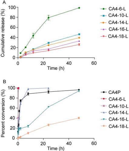 Figure 4 (A) Cumulative release profile of CA4-6, CA4-10, CA4-14, CA4-16, and CA4-18 from CA4-6-L, CA4-10-L, CA4-14-L, CA4-16-L, and CA4-18-L, respectively. (B) The percent conversion of CA4P, CA4-6-L, CA4-10-L, CA4-14-L, CA4-16-L, and CA4-18-L after incubation with the rat plasma (n=3).Abbreviations: CA4, combretastatin A4; CA4P, combretastatin A4 phosphate; CA4-6-L, combretastatin A4-6 liposomes; CA4-10-L, combretastatin A4-10 liposomes; CA4-14-L, combretastatin A4-14 liposomes; CA4-16-L, combretastatin A4-16 liposomes; CA4-18-L, combretastatin A4-18 liposomes.