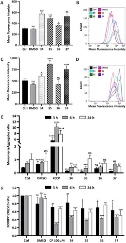 Figure 4. Bioenergetic and metabolic impairment in HepG2 cells treated with compounds 34–37. (A–E) Analysis of oxidative stress parameters in HepG2 cells treated with the analysed compounds for 24 h in a following concentration: 34–5 µM, 35–4.5 µM, 36–4 µM, 37–4.5 µM. ROS production (A and B) was investigated using a FACSCalibur flow cytometer with H2DCFDA/PI double staining in a final concentration 0.5 µM and 10 µM/mL respectively. Antioxidant defense system (C and D) was investigated using Thiolite Green sensor. (A) Green fluorescence intensity was analysed (∼ 510/525 ex/em), and the data are shown as a bar graph of the three independent experiments (mean ± SD) or as representative histograms (B). (C) Flow cytometry analysis of GSH using Thiolite Green dye (50 µM). The GSH level was estimated, and the fluorescence intensity changes are presented as a bar graph (mean ± SD) from three replicates or as representative histograms (D). (E) Flow cytometry mitochondrial membrane potential (MMP) analysis using JC-1 fluorescent dye (final concentration 2.5 µM). Green fluorescence emitted by monomers of the dye and red fluorescence corresponding to its aggregates were counted and presented as a monomers/aggregates ratio on a bar graph from three replicates after 3, 6, and 24 h of incubation. FCCP (3 µM) emitting a strong green fluorescent signal was used as a negative control. (F) Detection of lipid peroxidation estimated via fluorescent BODIPY 581/591 C11 reagent (10 µM). Upon oxidation, a fluorescence shift from red to green was measured after 3, 6, and 24 h of incubation with the analysed compounds in a concentration that corresponded to their IC50 value and presented as a 590/510 ratio on bar graphs. As a positive control, 100 µM cumene hydroxyperoxide (CP) for 2 h was used. Statistical significance is indicated with asterisks: (ns) p > 0.05, *p < 0.05, **p < 0.01, ***p < 0.001, ****p < 0.0001.