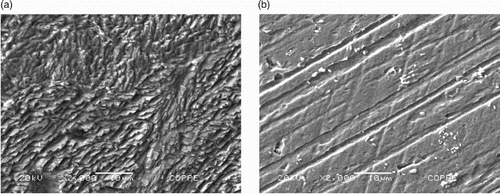 Figure 7. A – Morphological analysis of the mild steel surface in 1 mol L−1 HCl medium in the absence of the gorse extract. B – Morphological analysis of the mild steel surface in 1 mol L−1 HCl medium in the presence of 400 mg L−1 of the gorse extract.