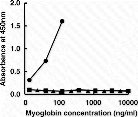 Figure 4.  Specificity of the sandwich ELISA. The antibody against Peptide B (mAb 11H) was used as the capture antibody, and the antibody against denatured Mb (D-Mb) (mAb 11E) was used as the peroxidase-conjugated antibody. (•): beef D-Mb; (▪): pork D-Mb and (▴): chicken D-Mb.