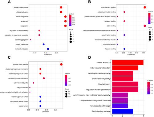 Figure 3 GO enrichment and KEGG analyses for 61 gene candidates. (A–C) The top 10 terms of GO categories of biological process (BP), molecular function (MF) and cellular component (CC), respectively; (D) top 10 terms of KEGG analysis. P-value < 0.05 was considered to be the cut-off criteria.