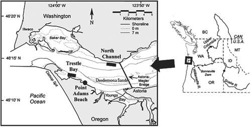 FIGURE 1. Map of the Columbia River study area in Washington and Oregon. Point Adams Beach was the shoreline habitat station (river kilometer [rkm] 19.8; 46.202°N, 123.946°W). Deepwater channel habitat stations were located at North Channel (rkm 17; 46.237°N, 123.903°W) and Trestle Bay (rkm 13; 46.215°N, 123.962°W). Solid and dashed lines indicate the 7-m and 0-m depth contours, respectively.