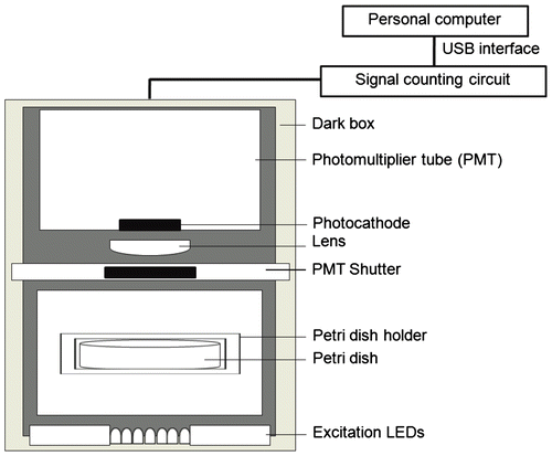 Fig. 1. Front view of the experimental setup used to measure DL.