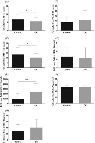 Figure 1. The concentrations of protein in follicular fluid (FF) of control group (control) and ovarian endometriosis group (OE). The concentrations of FTO and METTL3 in FF of women with OE (n = 37) were lower than that of the control group (n = 37, *p <.05, (A,C). The concentrations of KIAA1429 in FF of women with OE (n = 37) were higher than that of the control group (n = 37, ***p <.0001, E).