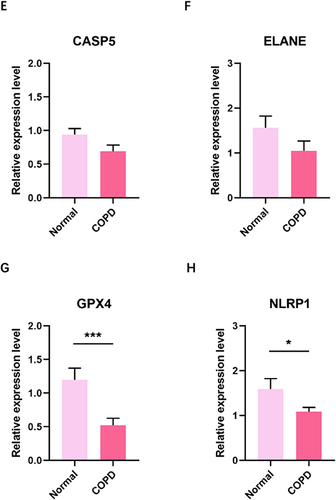 Figure 9 RT-qPCR analyze the mRNA of PRGs in blood between normal and COPD. (A) NOD1 mRNA (B) GSDME mRNA (C) IL-18 mRNA (D) CASP4 mRNA (E) CASP5 mRNA (F) ELANE mRNA (G) GPX4 mRNA (H) NLRP1 mRNA. *p<0.05; ***p<0.001; RT-qPCR: Real-time quantitative PCR.