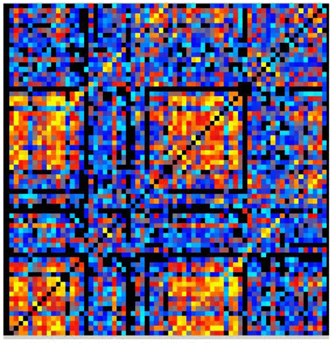 Figure 1. A correlation matrix map of 68 × 68 dimension made from the 68 cortical brain regions during the multiple sentence reading task of a control participant.