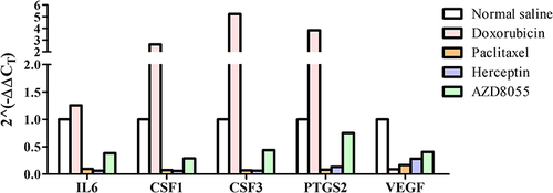 Figure 4 Expression of ABCB1 in cancer samples from PDX mice after drug treatment. ABCB1, ABC subfamily B, member 1; PDX, patient-derived xenograft.