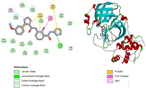 Figure 4. 2D diagram of interactions, and positioning of the molecule M124 inside the active site of SARS-CoV-2 main protease.