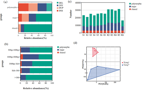 Figure 3. Distribution of the identified SVs in the Xiang-R and Xiang-S groups. (a) The frequencies of the four SV types of deletion (DEL), inversion (INV), duplication (DUP), and insertion (INS), including shared (identified in all samples), major (identified in ≥ 50% of samples), polymorphic (identified in > 1 sample). (b) Proportions for SVs discovered with different base pair sizes in length. (c) The number of SVs for each discovery category was shown per sample. (d) Principal component analyses for all of the 12 pig individuals in Xiang-R and Xiang-S groups. Different colours represented different populations.