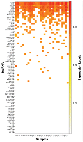 Figure 2. Expression heat map of 87 screened lncRNAs in extracellular vesicles isolated from human breastmilk samples (n = 30).