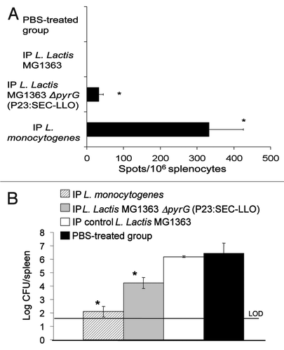 Figure 5 (A) ELISPOT test results four weeks after IP vaccination regimen. Mouse groups (n = 5) were vaccinated by IP injection on days 1, 2, 8, 15 and 28 then examined by ELISPOT 4 weeks later. (B) Results of the challenge experiment four weeks after the IP immunization regimen. Mouse groups (n = 5) were IP-vaccinated on days 1, 2, 8, 15 and 28 then challenged IP with L. monocytogenes EGDe 4 weeks later. Mice were euthanized 3 days following challenge and Listeria count was determined in spleens. *p < 0.05 as compared to negative control groups. Error bars represent the mean ± SEM (Standard Error of the Mean). LOD: Limit of detection of the test.