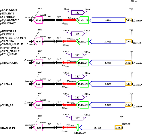 Figure 2 Genetic environment of multidrug resistance region in pYUSBH035 and homologous plasmids.