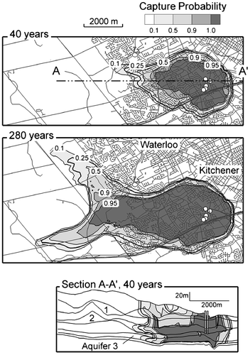 Figure 8. Greenbrook well field, capture probability plumes at 40 and 280 years, maximum value over depth; bottom: cross-section at 40 years (from Frind et al. Citation2002, with permission).