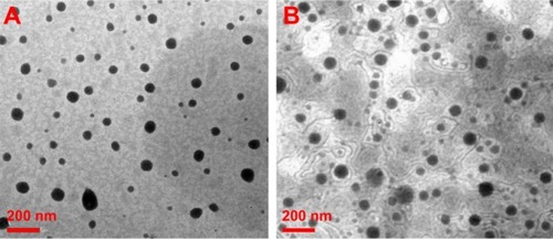 Figure 2 Morphologic patterns. Transmission electron microscopic images of (A) TME-1 and (B) TME-2 at room temperature.Abbreviation: TME, triterpene-loaded microemulsion.