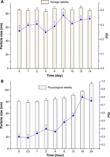 Figure 6 Stability of ZGD-MNs characterized by particle size distribution.Notes: (A) Short-term (2-week) investigation of storage stability performed under ambient conditions. (B) Blood circulation stability investigation simulated in phosphate-buffered saline (pH 7.2).Abbreviations: PDI, polydispersity index; ZGD-MNs, Z-GP-Dox-loaded mixed nanomicelles.