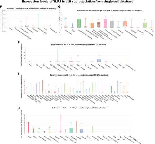 Figure 9 Single-cell RNA-Seq databases were used to investigate the levels of expression of (A–E) OGFR and (F–J) TLR4 in the cell sub-population of the tumor microenvironment.