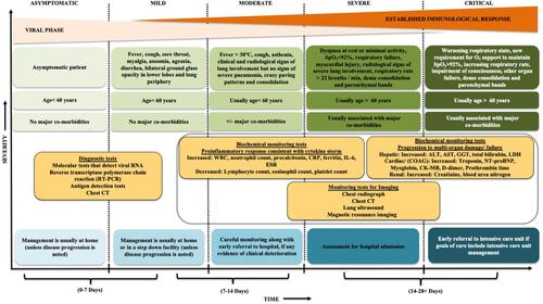 Figure 1 Modified schematic diagram illustrates COVID-19 clinical presentation, diagnostic investigations, assessment of disease severity and consideration of care settings accordingly.Citation2,Citation3,Citation21–Citation23