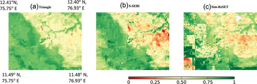 Figure 8. Spatial pattern of EF derived from MODIS sensor on Aqua satellite using (a) the triangle model, (b) the S-SEBI model and (c) the Sim-ReSET model over Grid 5 on 14 November 2012. White patch in (c) indicates no value.