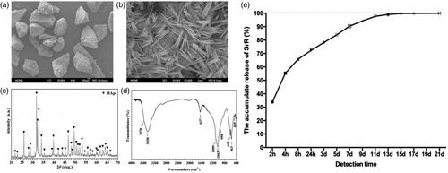 Figure 6. Characteristics of nano-HAp particles. The FESEM images of the nano-structured HAp (Nano-HAp) sample with low (a) and high (b) magnification. The XRD (c) and FTIR (d) patterns of the nano-structured HAp materials. (e) Curve of releasing SrR from the HAp particulates.