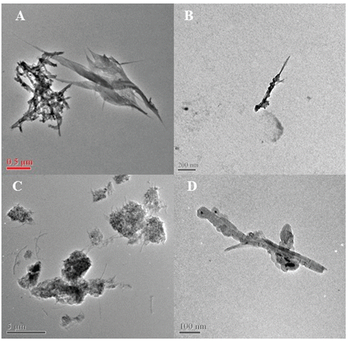 Figure 3. TEM images of the upstream and downstream CNT particles: upstream aerosolized SWCNT particles collected in the test chamber (a); downstream SWCNT particle collected inside the respirator (b); upstream aerosolized MWCNT particles (c); downstream MWCNT particle (d).