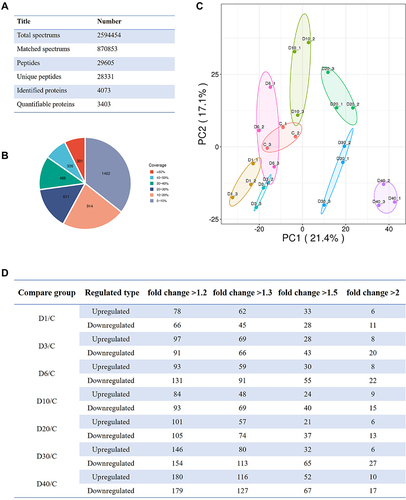 Figure 5 Basic information of quantitative proteomics of ocular tissue at D0 (Control), D1, D3, D6, D10, D20, D30, and D40 post high-altitude adaptation. (A) Total mass spectrometry data. (B) The coverage rate of identified protein. (C) The principal component analysis (PCA) of protein quantification among different groups. (D) Quantitative proteomics identification of differentially abundant proteins with the different fold change at D0 (Control), D1, D3, D6, D10, D20, D30, and D40 post high-altitude adaptation.