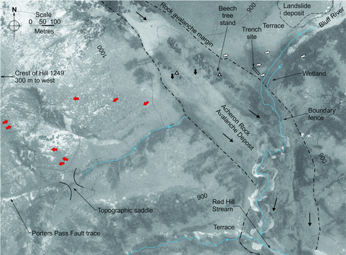 Figure 10  Aerial photograph showing the mid zone of the Acheron rock avalanche crossed by the Porters Pass Fault. A zone of subdued surface expressions obliquely crossing the rock avalanche deposit is marked by the black arrows. Ridge rents and other fault-related lineaments are shown by red arrows. The white arrows show the trend of geomorphic features such as redundant water channels that correspond to the black arrows. The triangles indicate areas of coarse boulders, debris mass thickening and high elevation on the deposit that may reflect the presence of a buried fault scarp.